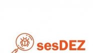 Sesdez.com