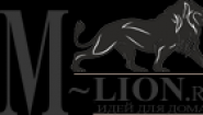 Интернет-магазин M-lion