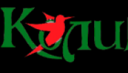 Колибри