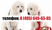 Ветеринарная клиника 24 Ветклиник-Мск