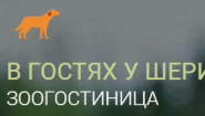 Зоогостиница для собак