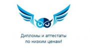 Студланс