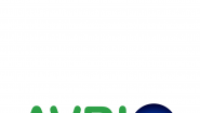 AVRIO Group Consulting