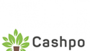 Кашпо дизайн (Cashpo Design)