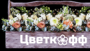 Цветкофф