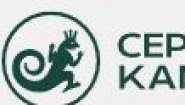 Сервис Камня