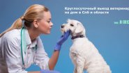Ветеринарная клиника в Спб "Питер Ветеринарный"