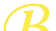 Vozrogdenie1.ru - изготовление памятников из гранита