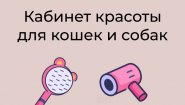 Кабинет красоты для кошек и собак – груминг