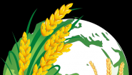 Агрофирма Колос