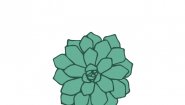 Plantis