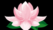 ASIA SPA
