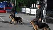 Велес Охранная организация