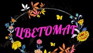 Цветомаг
