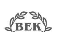 Ритуальная служба Век