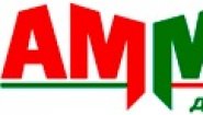 ООО Амма — дизайн