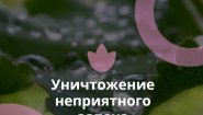 Инновационные Технологии