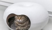 Зоогостиница "4Cats"