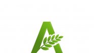 ООО «АНЕЛИЯ»