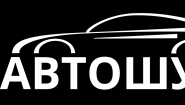 Автошум
