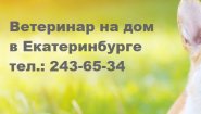 Ветклиника ВетПетЕкб