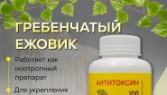 Ежовик гребенчатый в капсулах: природный ноотроп для памяти и ясности ума.