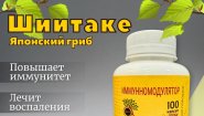 Шиитаке в капсулах: классика восточного здоровья для иммунитета и энергии