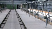 Стойловое оборудование для привязного и беспривязного содержания КРС от производителя ООО «Унимилк». Стойловое оборудование для привязного и беспривязного содержания КРС от производителя ООО «Унимилк».
