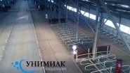 Стойловое оборудование для привязного и беспривязного содержания КРС от производителя ООО «Унимилк». Стойловое оборудование для привязного и беспривязного содержания КРС от производителя ООО «Унимилк».