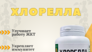 Хлорелла в капсулах: зеленая сила для очищения и иммунитета