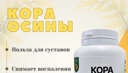 Кора осины в капсулах