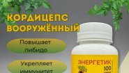 Кордицепс вооруженный в капсулах