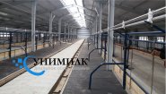 Стойловое оборудование для привязного и беспривязного содержания КРС от производителя ООО «Унимилк». Стойловое оборудование для привязного и беспривязного содержания КРС от производителя ООО «Унимилк».