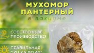 https://gribnoy-mir.ru/product/muhomor-panternyi-shljapki/