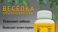 Веселка обыкновенная в капсулах: природная поддержка иммунитета и тонуса