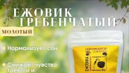 Ежовик гребенчатый молотый: природный ноотроп для мозга в удобной форме