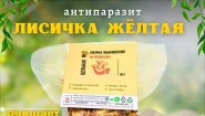 Лисичка желтая цельная (сушеная)