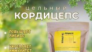 Кордицепс вооруженный