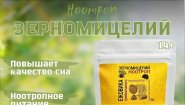 Ежовик гребенчатый зерномицелий молотый: сила роста для ясного ума