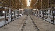 Стойловое оборудование для привязного и беспривязного содержания КРС от производителя ООО «Унимилк». Стойловое оборудование для привязного и беспривязного содержания КРС от производителя ООО «Унимилк».