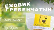 Ежовик гребенчатый: сушеное плодовое тело для ясного ума и крепких нервов